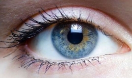 Нечіткий зір і смикання ока: Симптоми дефіциту вітаміну В12 - Погляд –  новини Чернівці
